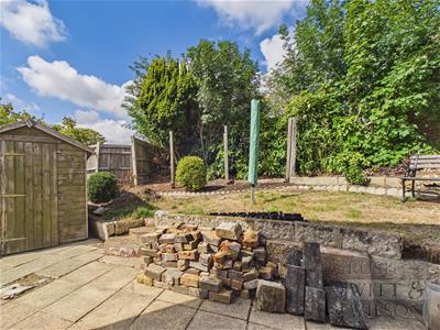 Picture 20
